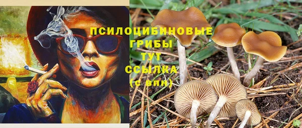 ALPHA PVP Балахна