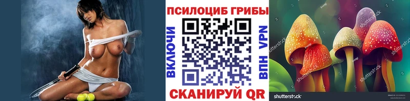 хочу Белая Холуница Галлюциногенные грибы GOLDEN TEACHER